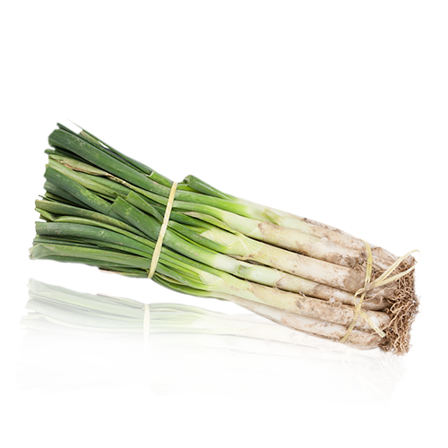 Calsots